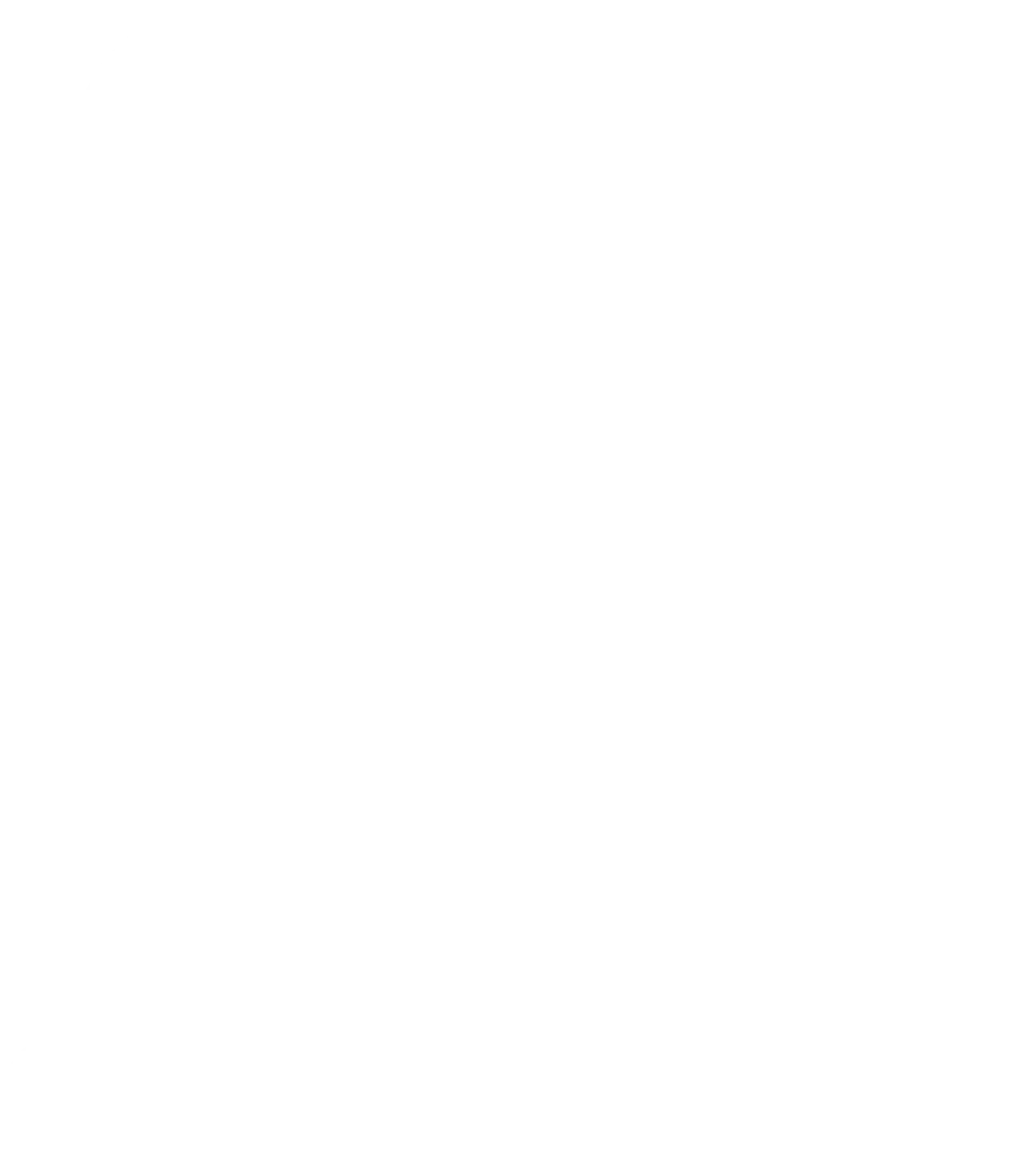 Overheid / Ambassade