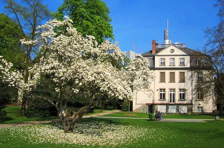 Frankfurt musea om dit weekend te bezoeken - Beste gids voor de nomaden