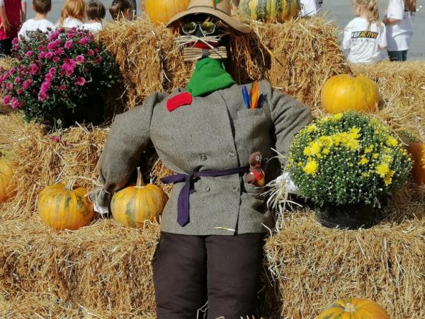Herfstmarkten in Beieren: Tradities, Smaken en Feestelijke Sfeer