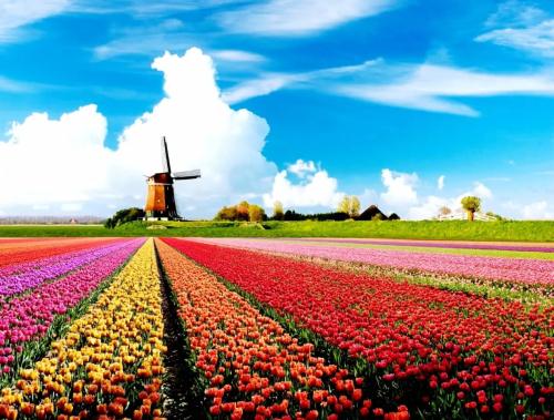 Taxi & Transfers Groningen Airport Eelde