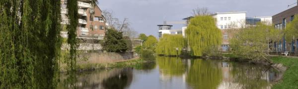 Откройте для себя Бохольт: лучшие достопримечательности и удобные способы путешествия (также Бохольт в Амстердам!)