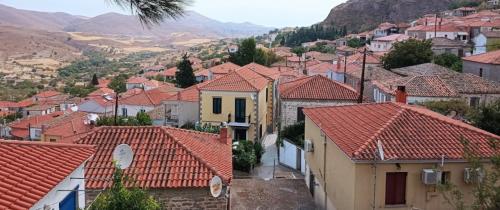 Taxi Luchthaven Lemnos