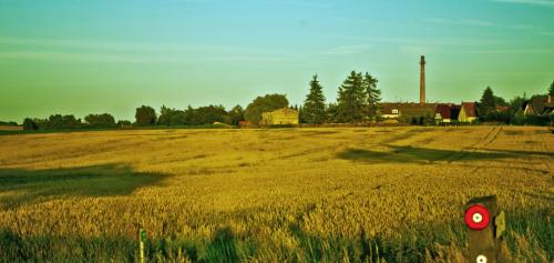 Rostock–Laage Airport Taxis