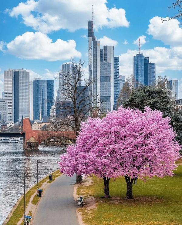 Travel to Frankfurt in Spring 2023 - What you can explore this time?