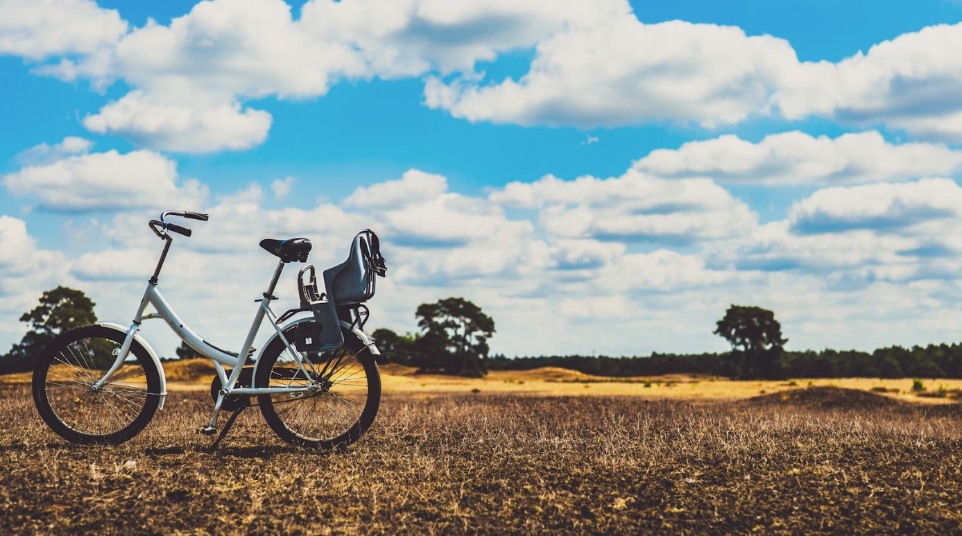 De-Hoge-Veluwe-National-Park-Otterlo