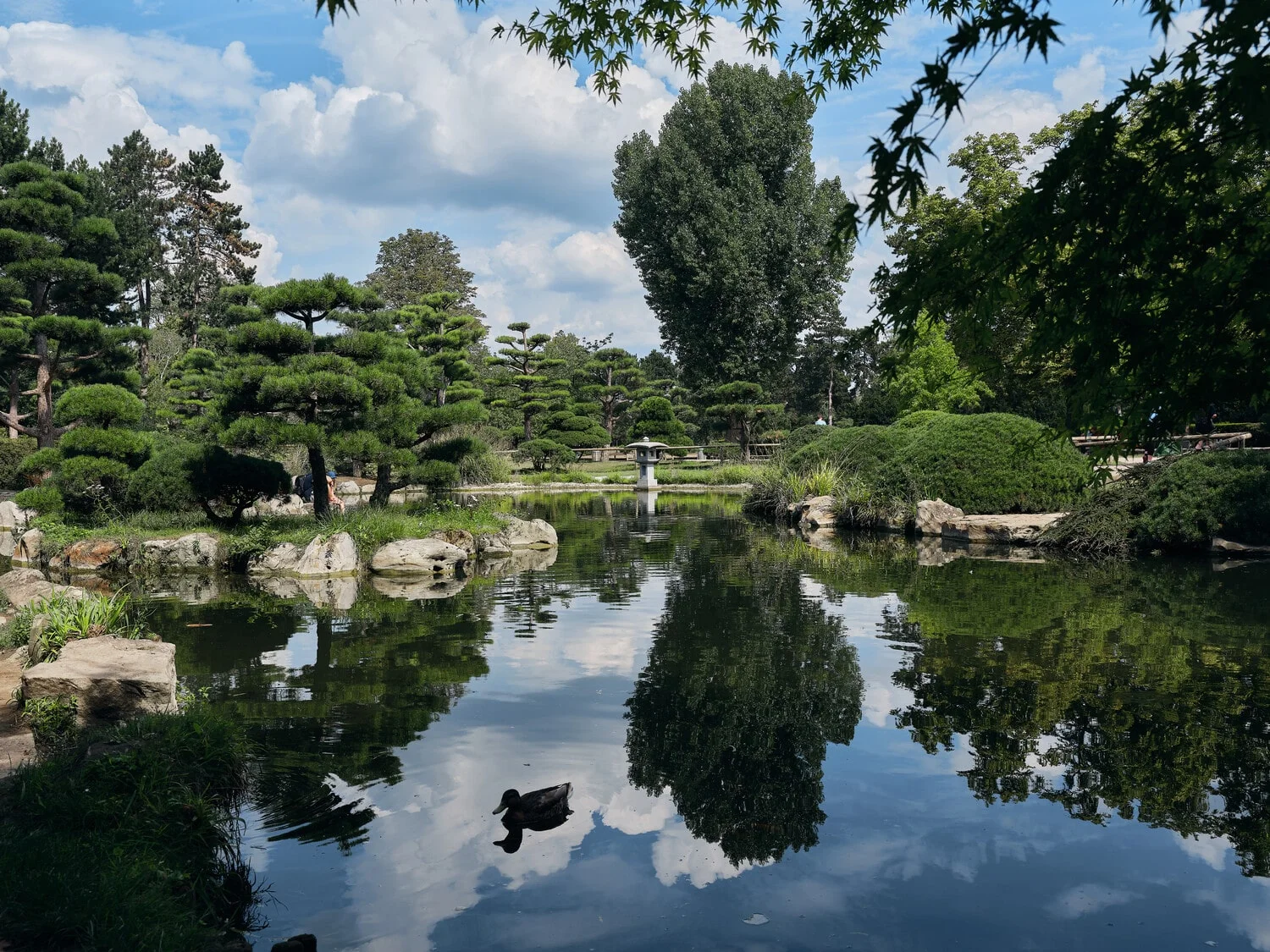 Japanse tuin: Rust en harmonie in het hart van de stad