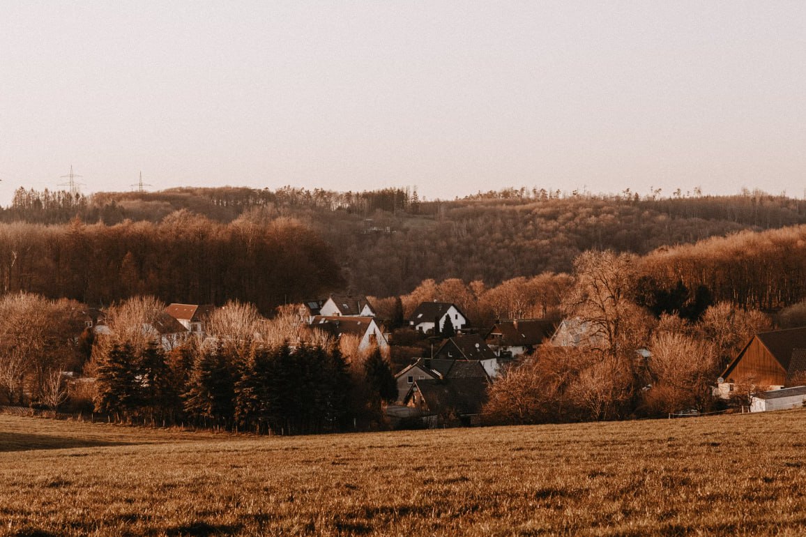 Brown And White House On Brown Grass