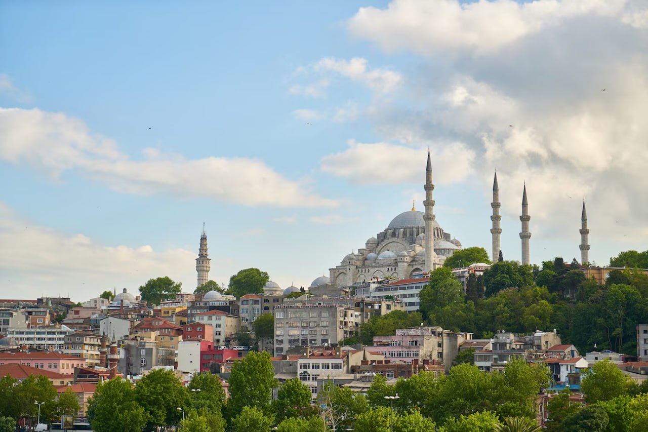 building_with_domes_and_turrets_istanbul_turkey