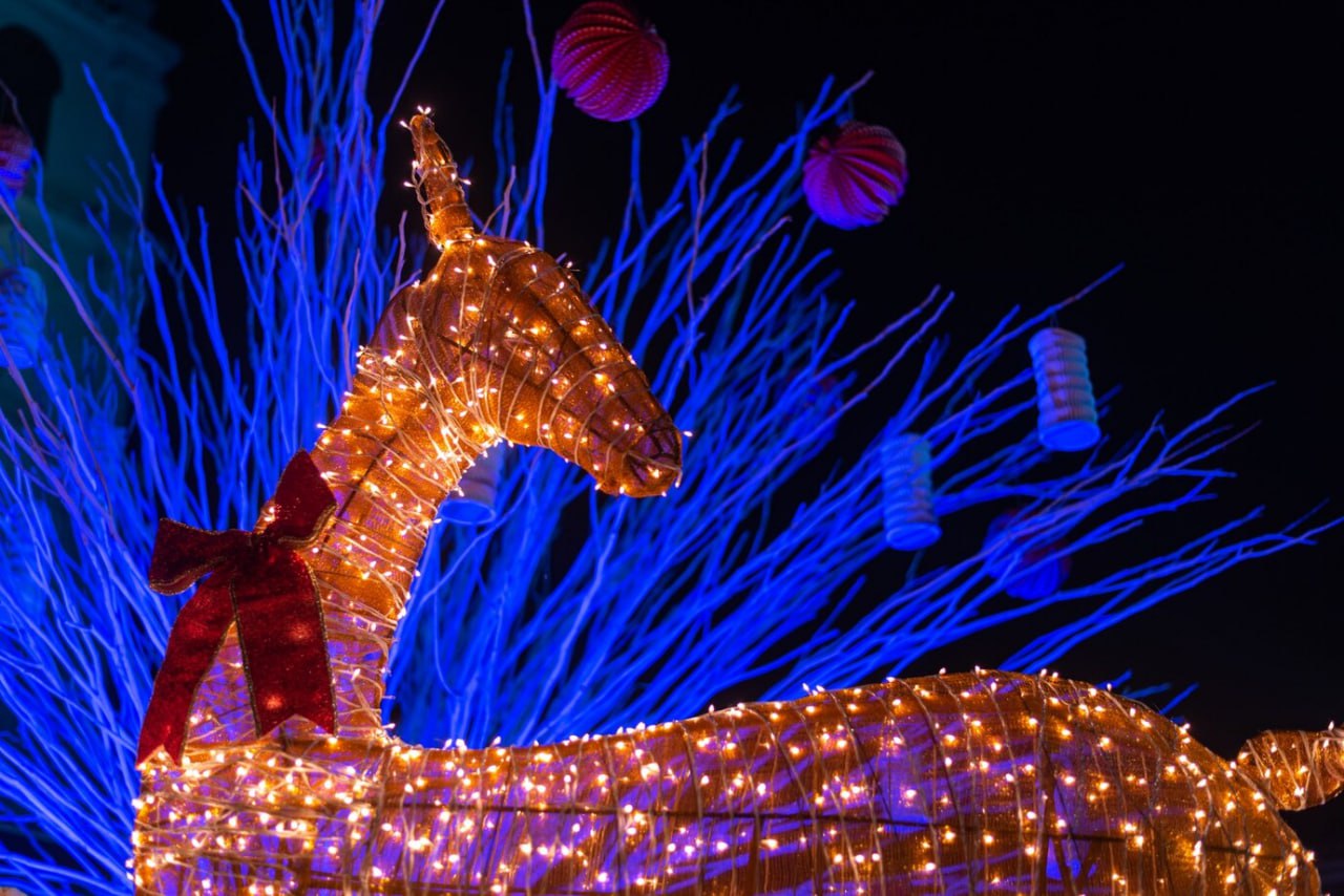 decorated_reindeer_installation_illuminated_with_lights_during_christmas