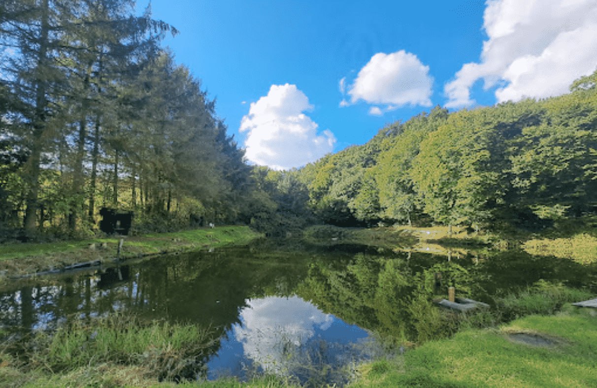 lake_in_the_forest_in_verbelt