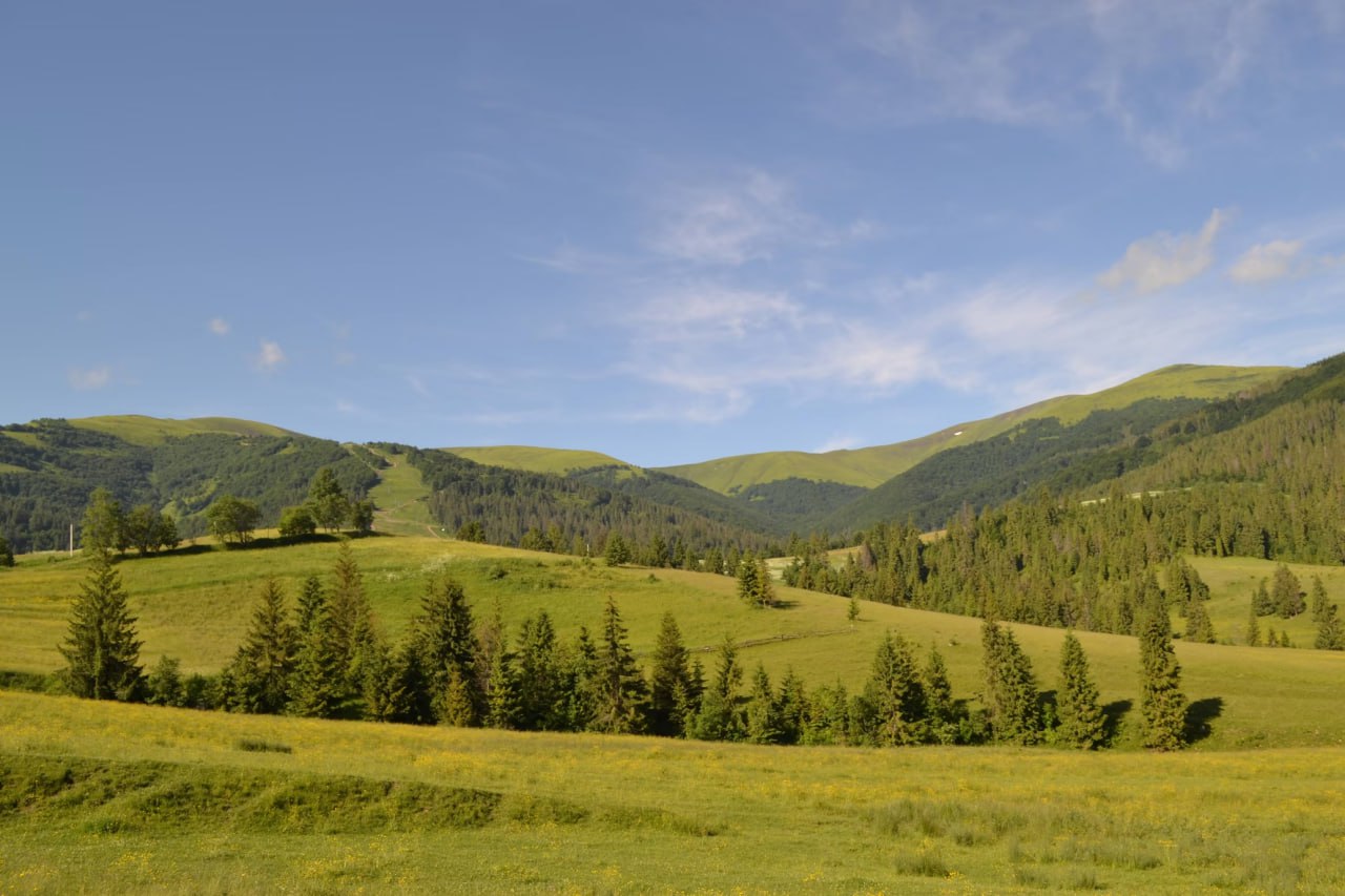 mountain_hills_in_carpathians