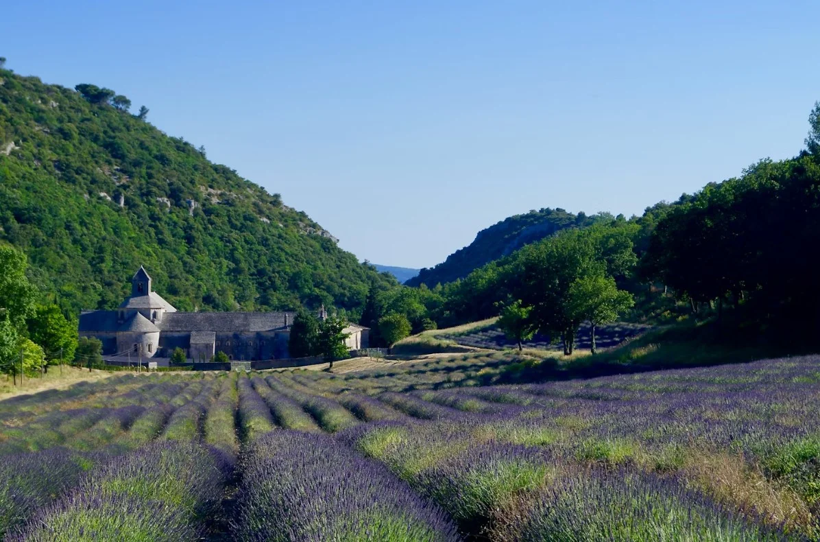 provence-green-trees-and-mountain-during-daytime