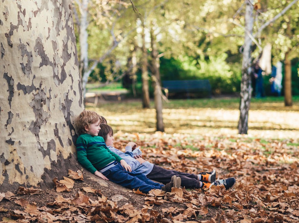 Two Children Sitting On Ground With Dried Leaves