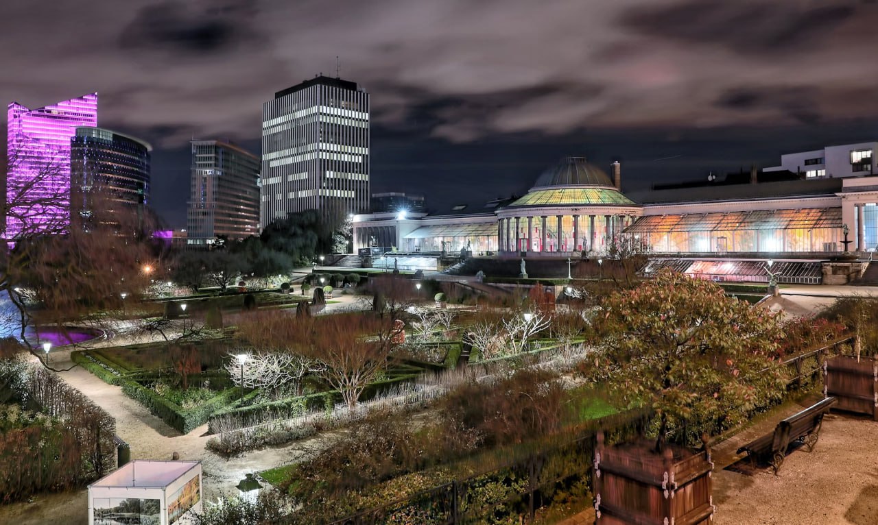 view_of_a_city_at_night_from_a_park_airporttaxis