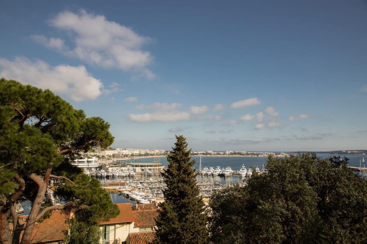 view_of_cannes