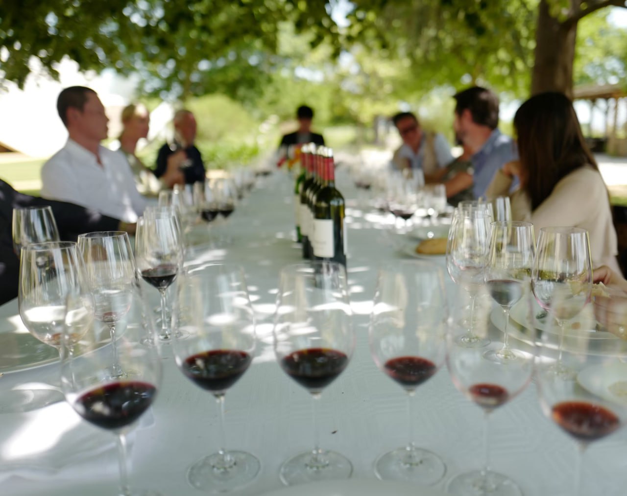 wine_tasting_outdoors_in_bordeaux